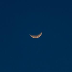 妈妈和爸爸老妇女三级片毛片
